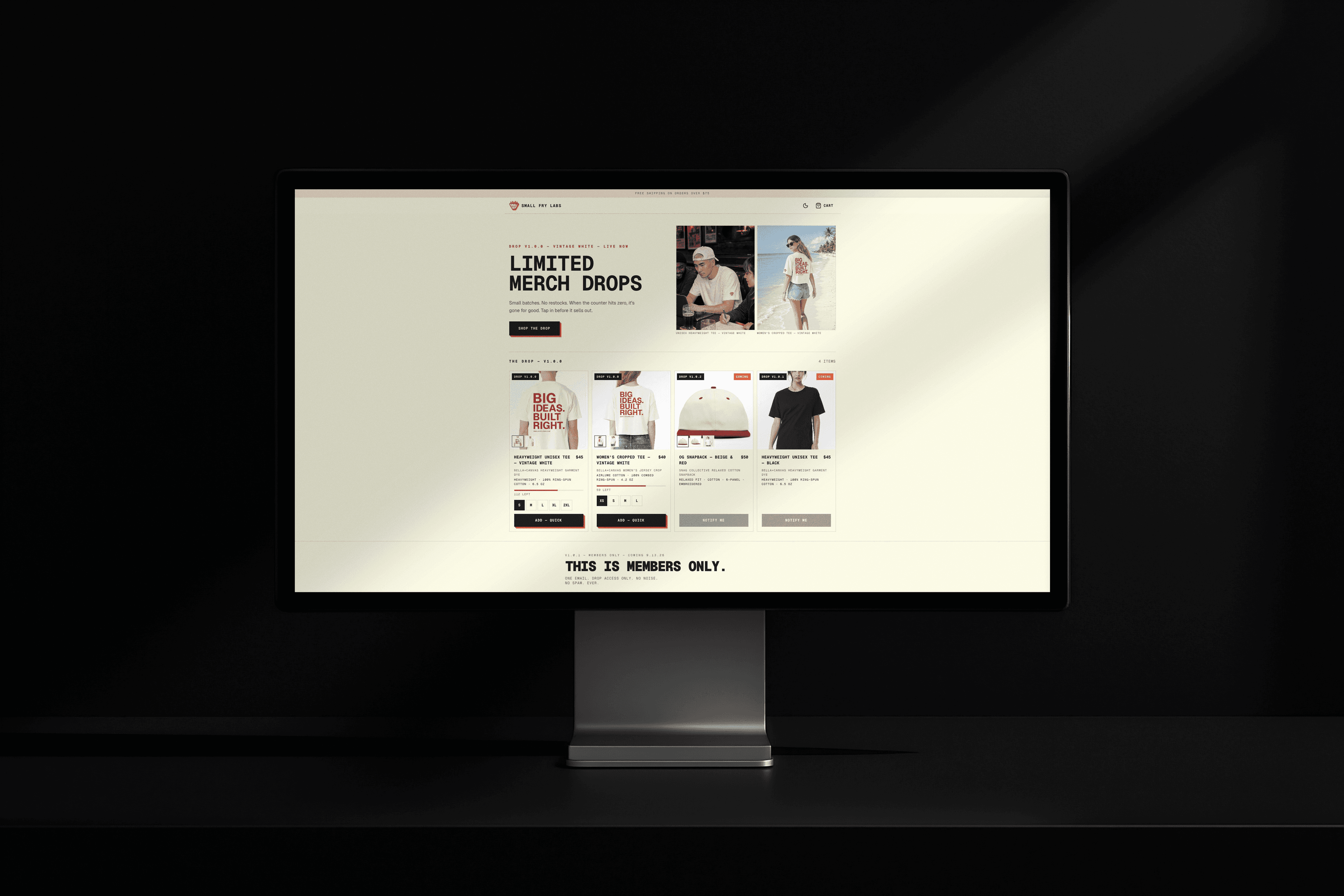 Small Fry E-commerce prototype shown on a desktop monitor