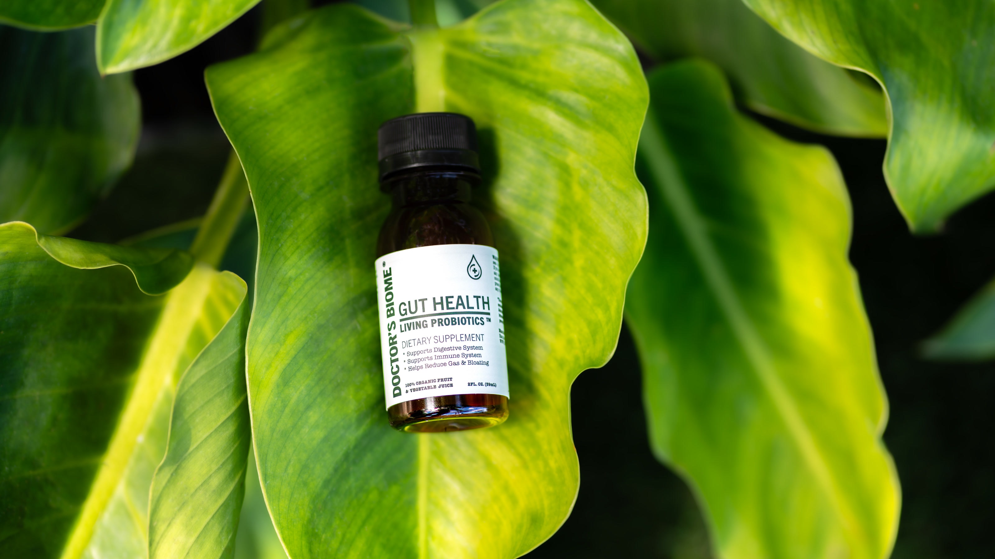 Doctor’s Biome Gut Health Living Probiotics bottle photographed among vivid green leaves