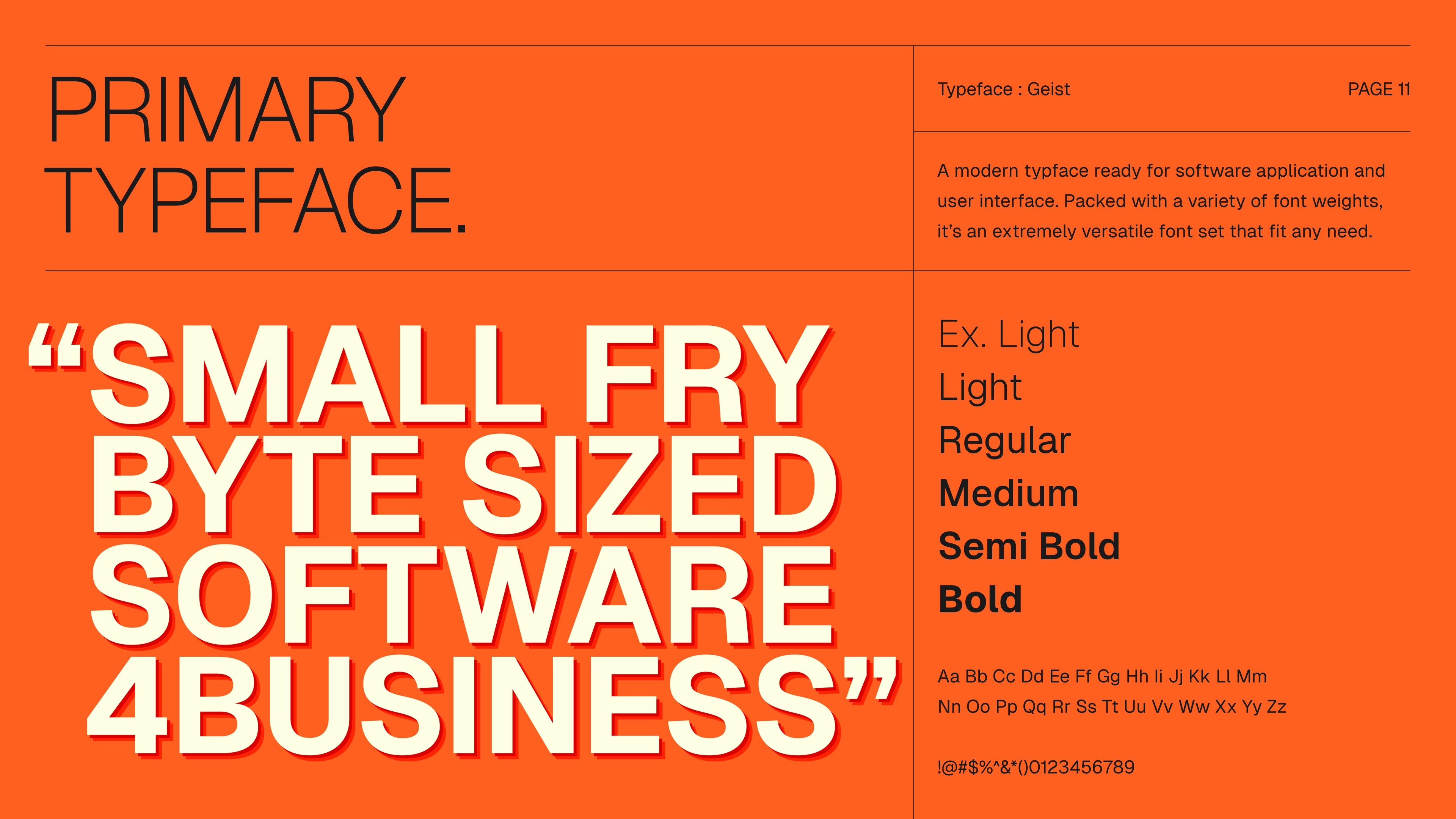 Small Fry Labs Geist typography guidelines